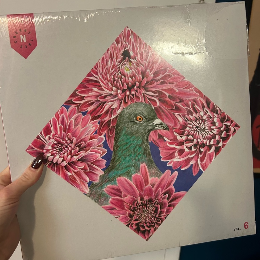 The National – Cherry Tree Vol. 6 Vinyl LP | fan club exclusive - sealed